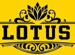 Xì gà Lotus